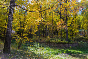 Autumn trees  in Tsaritsyno park