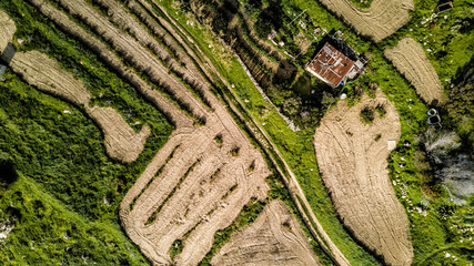 pola © Piotr