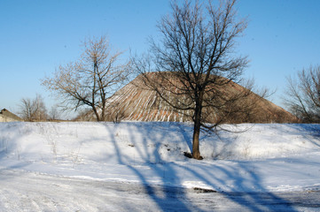 winter landscape