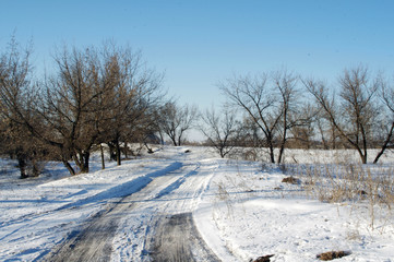 snowy road in winter