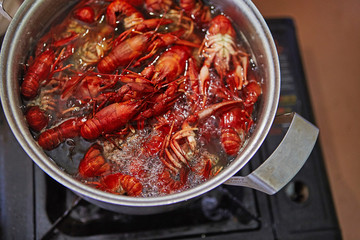 Crawfish cooking boiling in pot with spices