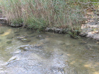 A rocky river bed leading to the ocean