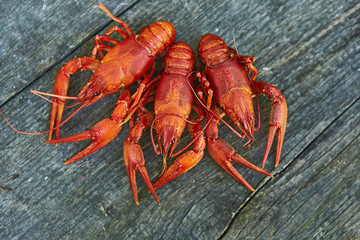 Crawfish cooked and served on wooden background