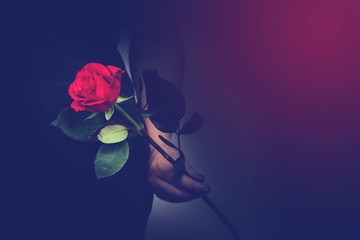 Woman with a red rose in her hand close-up, romantic valentines concept