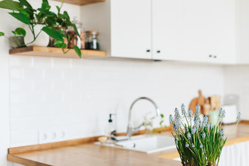 Modern white u-shaped kitchen in scandinavian style.