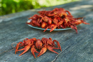 Crawfish cooked and served on wooden background