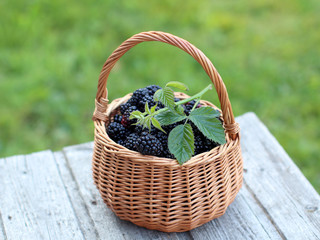 Fototapeta na wymiar Fresh blackberries in the small basket