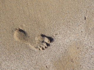 Footprint on the sand beach, on the beach in the summer track of a man