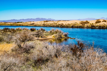 The Colorado River flowing through the Mojave Desert on the border of Arizona and California