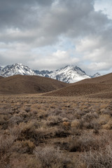 Fototapeta na wymiar brown winter desert valley landscape with brown rolling hills, snowy mountain peaks of Sierra Nevada and gray cloudy sky in California, USA