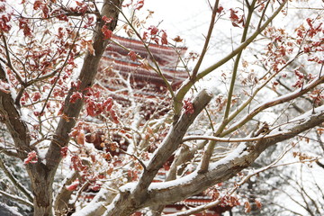 日本の寺の五重塔に雪が降り積もる