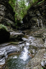 Obraz premium waterfall in forest