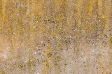 Asbestos slate texture concrete covered with lichen and moss	