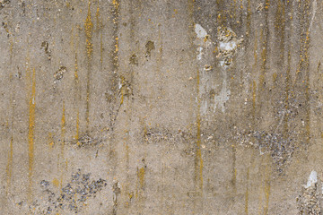 Asbestos slate texture concrete covered with lichen and moss	