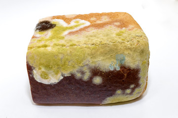 Mold on food, isprycheny bread on a white background