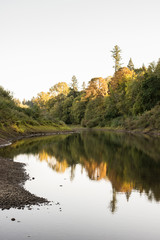 lake in the forest