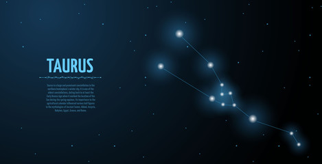 Taurus zodiac constellation vector sign with silhouette. Poster design with place for text © Katynn