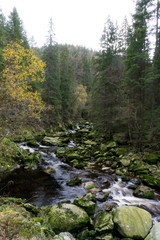 Obraz premium Beautiful river flowing through a northern forest