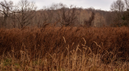 Fototapeta premium Layers