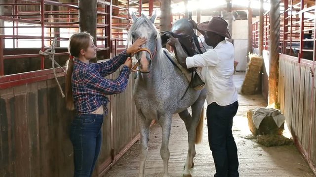 Farm workers man and woman preparing horse harness at stable