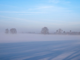 Fototapeta na wymiar Winterlandschaft mit schneebedecktem Feld und Baumreihe im Nebel