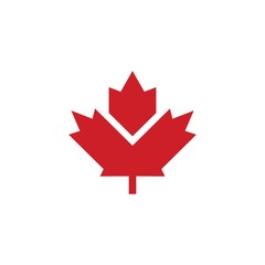 Maple leaf icon vector