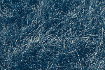 Fototapeta premium abstract blue grass background