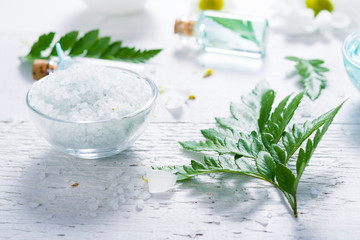 spa setting with cosmetic cream, gel, bath salt and fern leaves on white wooden table background