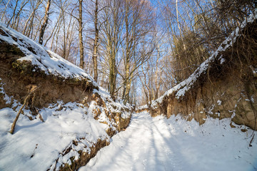 A winter road through a gorge surrounded by trees