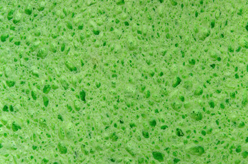 Green porous texture background wallpaper close-up household