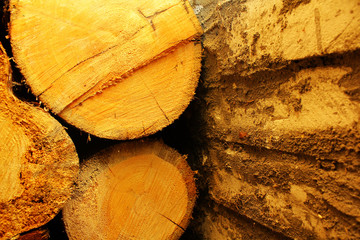 Naklejka premium background of the cut of trees