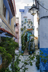 Fototapeta na wymiar Amazing Morocco, blue city of Chefchaouen, narrow streets, blue walls, unusual atmosphere of the city
