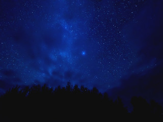 Fototapeta na wymiar Star tracks upon top of trees. Starry night sky in cloudy weather. Kenozersky National Park, Arkhangelsk region, Russia.