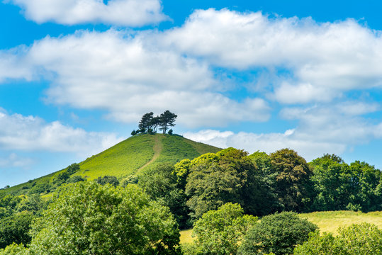 Colmers Hill near Symondsbury, Dorset, UK