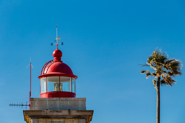 Lighthouse Faro da Piedade in Ponta da Piedade, Algarve region, south Portugal. Palm tree next to...