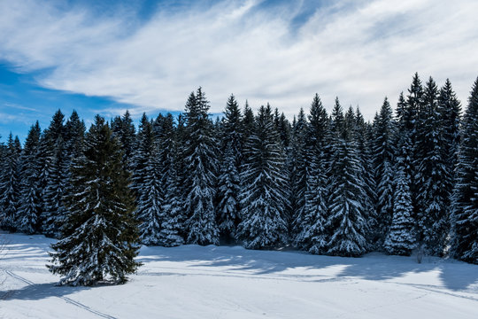 Mount Igman, Bosnia and Herzegovina