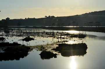 La Rabia wetlands, Cantabria