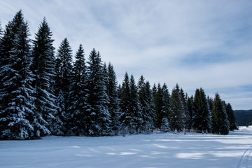 Mount Igman, Bosnia and Herzegovina