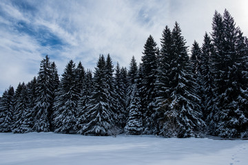 Mount Igman, Bosnia and Herzegovina