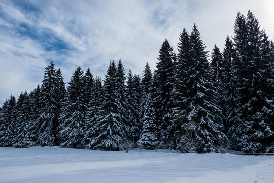 Mount Igman, Bosnia and Herzegovina