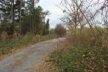 Obraz premium Abandoned Lot: Lonely Road 1