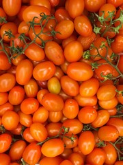 Sweet juicy orage tomatoes.