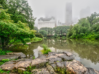 Central Park on a rainy, foggy day