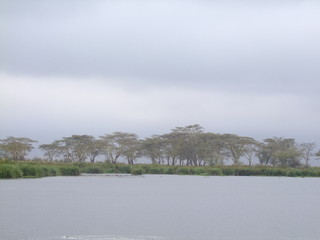 See im Ngorongoro Krater