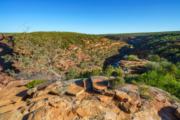 Hiking natures window loop trail, kalbarri national park, western australia 45