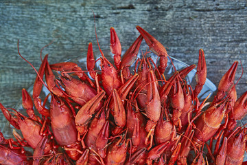 Crawfish cooked and served on wooden background
