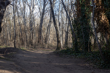 camino a la naturaleza