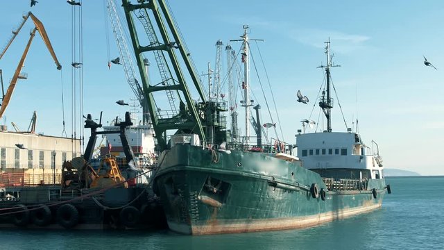 A large fishing cargo ship is in port at the pier, and a flock of seabirds of seagulls flies in the background.