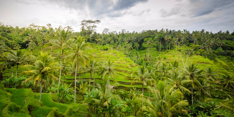 Obraz na płótnie Canvas Bali Island Indonesia Tourism