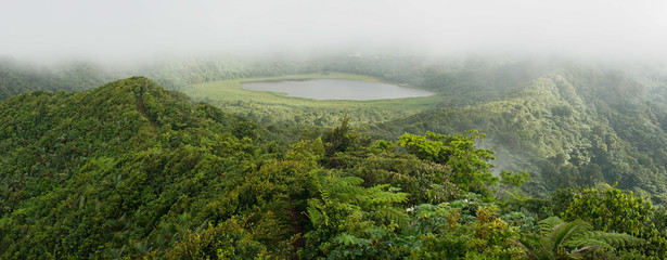 Muddy Jungle Trek to Mt. Qua Qua after rainfall near Caribbean St. George's, Grenada.